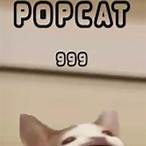 เกม pop cat ของ จริง